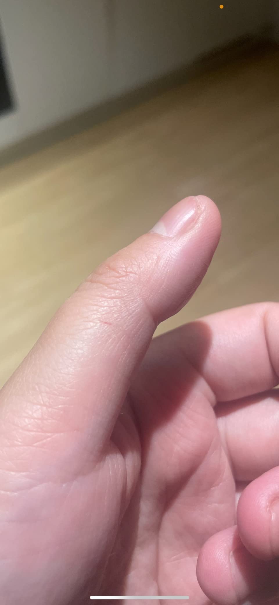Bessere Schere als alle bisherigen