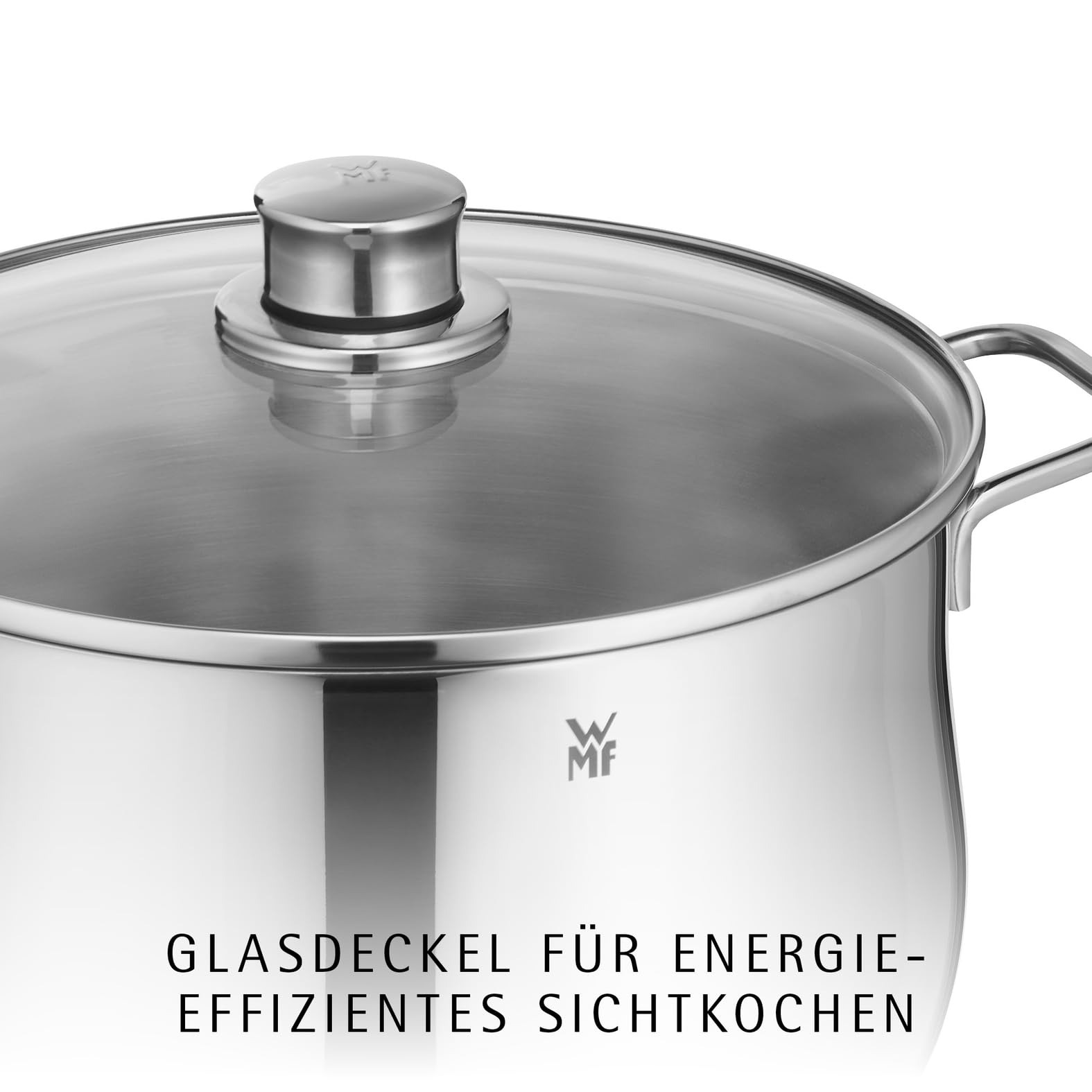 wmf-diadem-plus-topfset-induktion-5-teilig-kochtopf-set-mit-glasdeckeln-cromarga image 3
